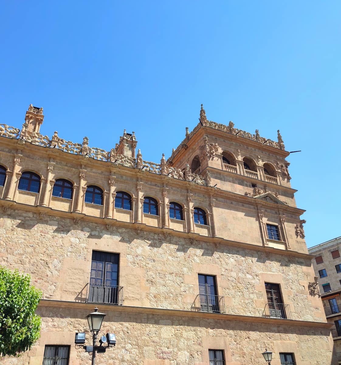 Monterrey's Palace, Salamanca