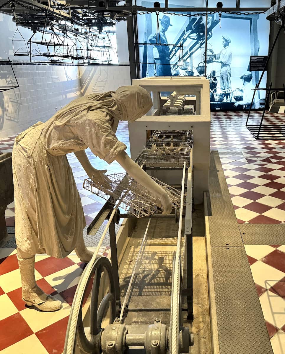 Portimão Museum
