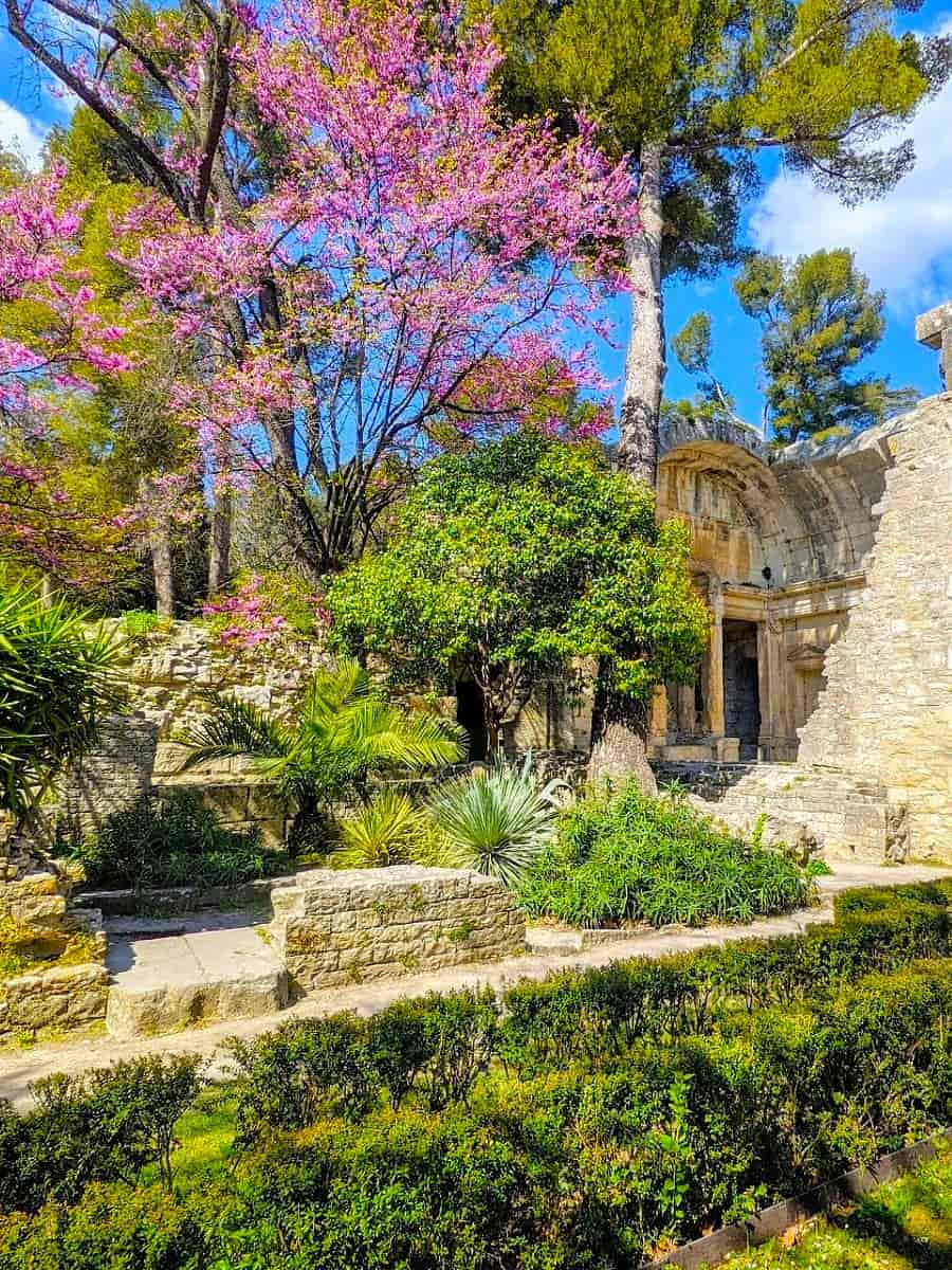 Spring Blooms in Nîmes