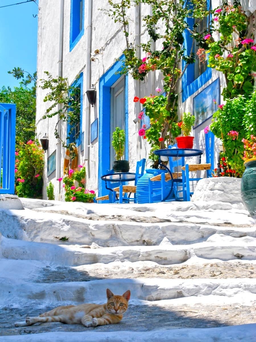 Spring in Kos Town