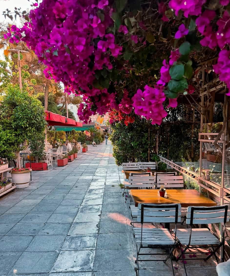 Spring in Piraeus