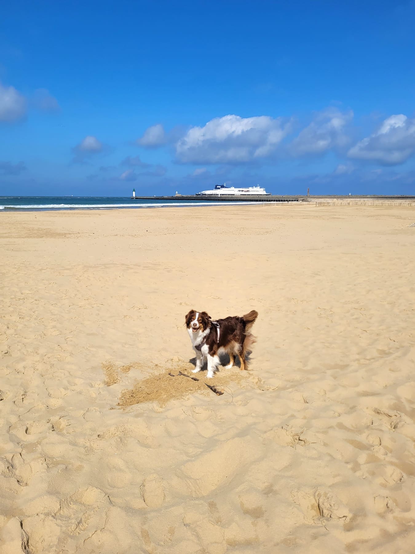 Summer Calais