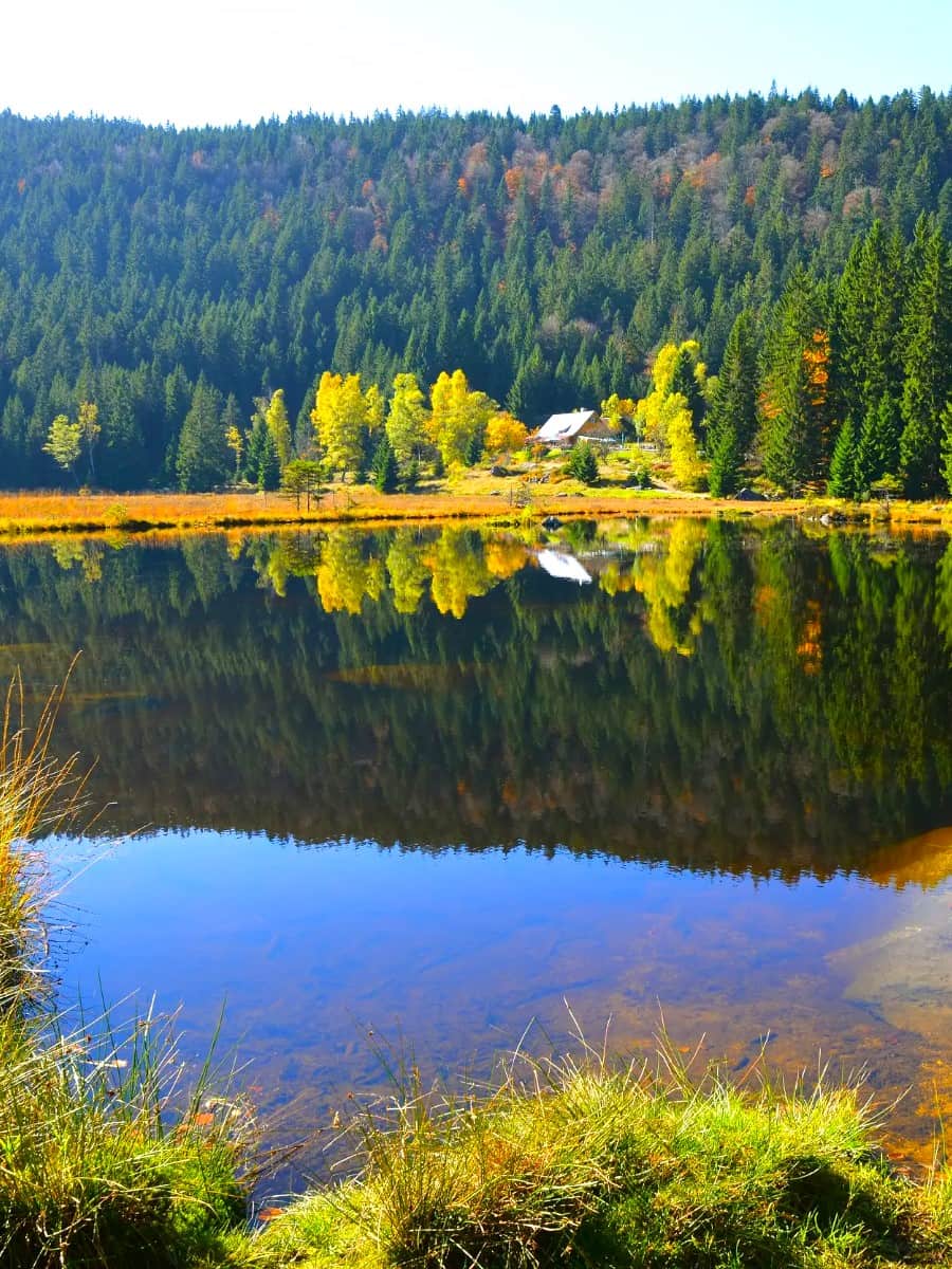 The Bavarian Forest National Park, Bavaria