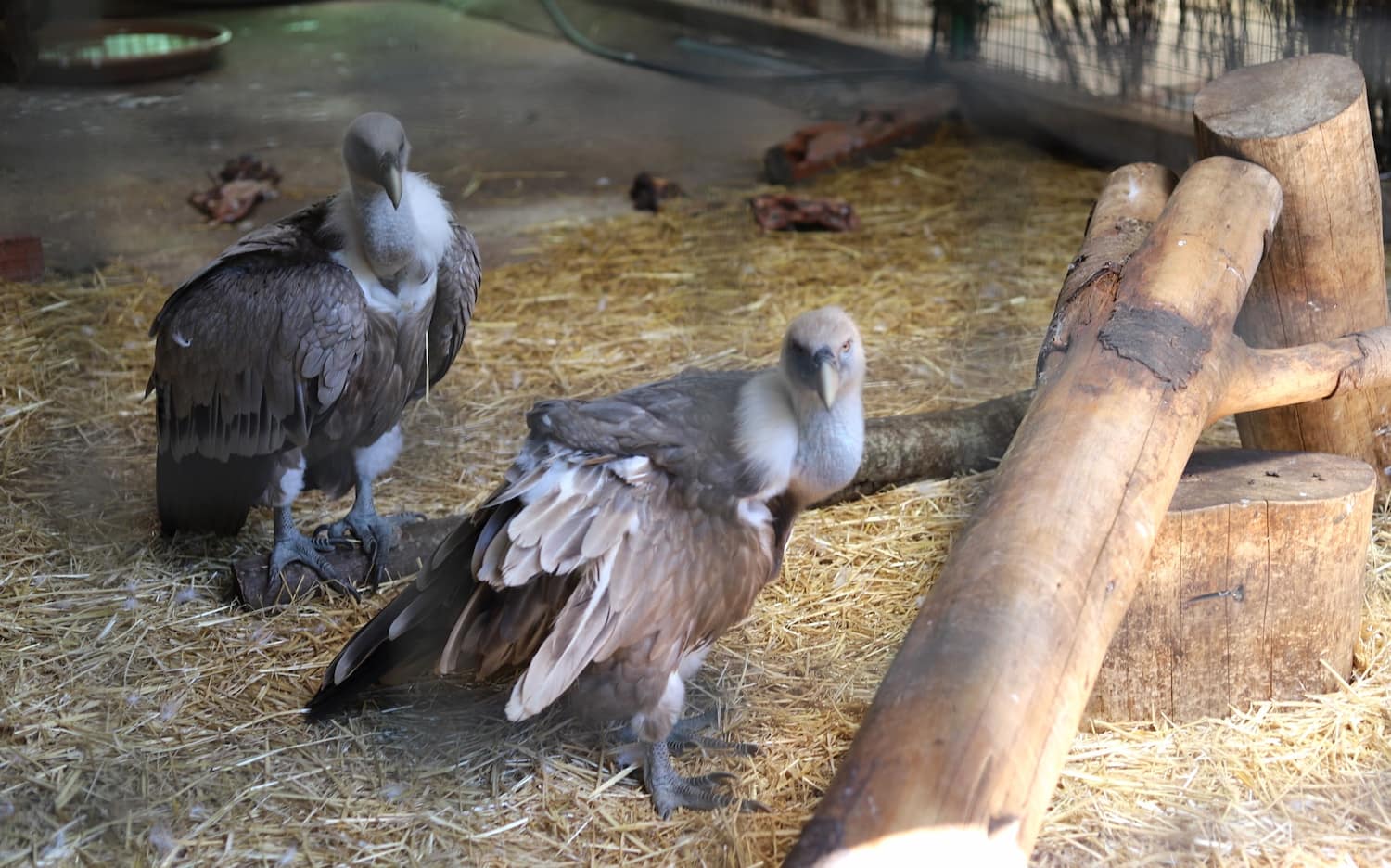 Vigo Zoo