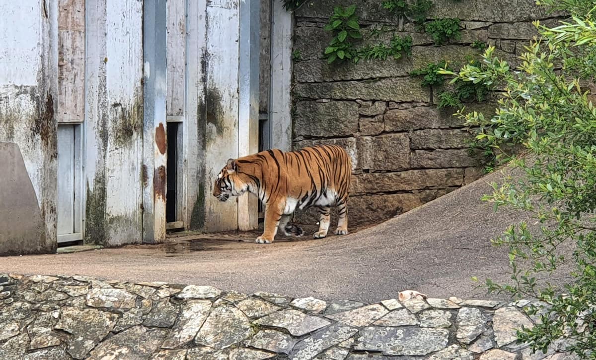 Vigo Zoo