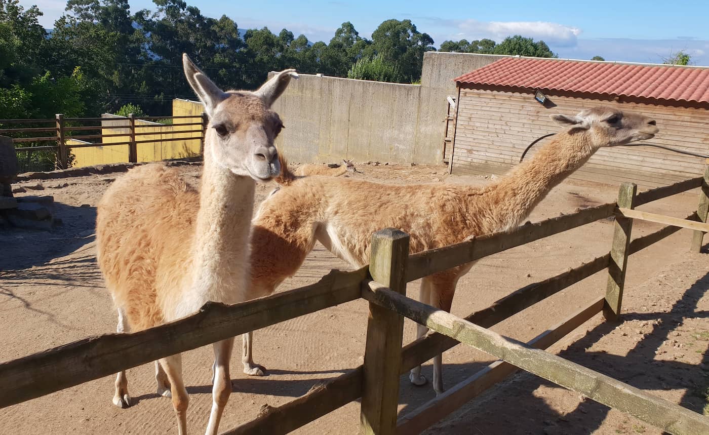 Vigo Zoo