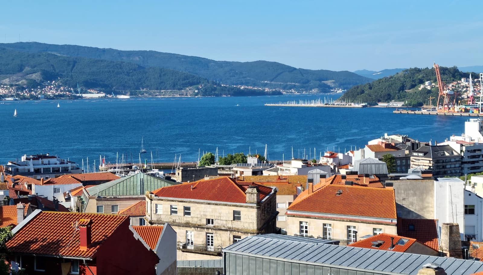 Vigo main
