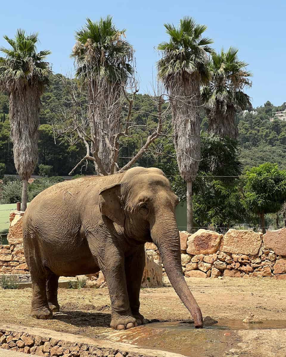 Zoosafari in Fasano