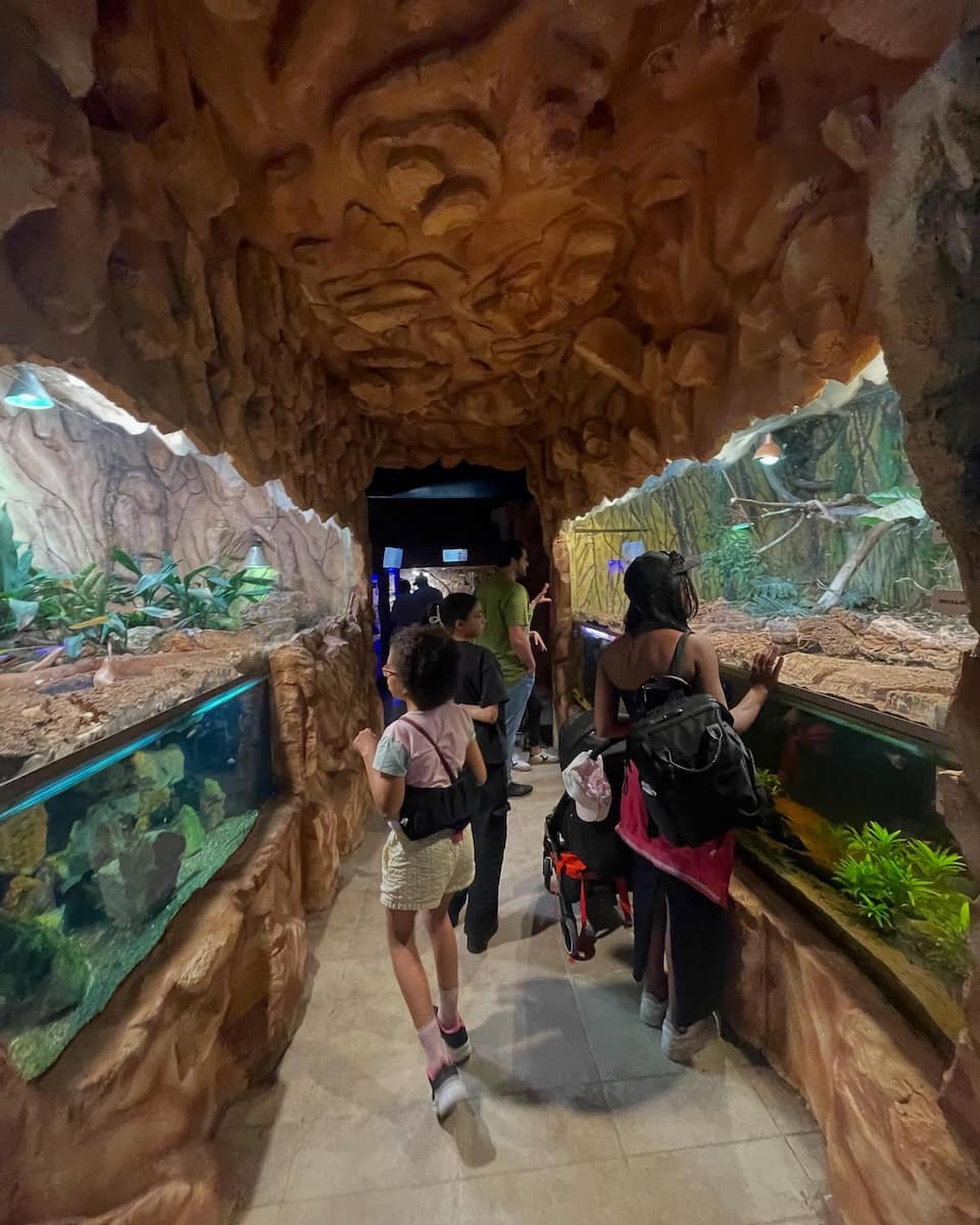 Zoosafari in Fasano